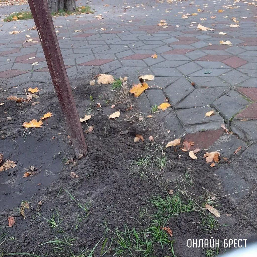 Читатель: Утренняя прогулка с собакой сподвигла меня на этот пост :)