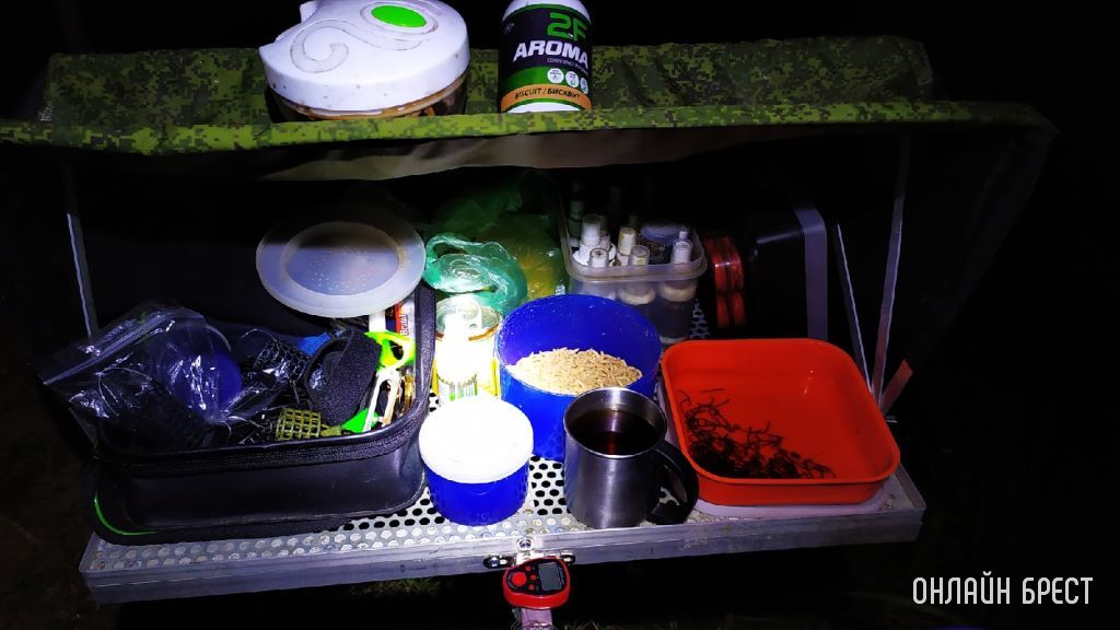 Улов жителя Бреста. Место рыбалки: река Мухавец