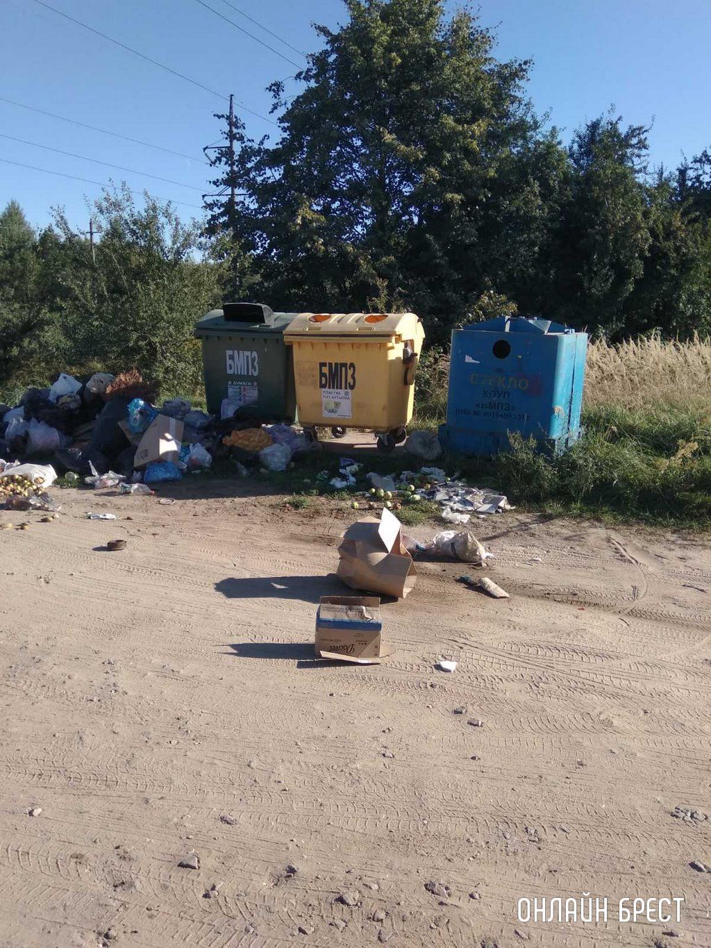 Читатель: 03.09.22. Мусор на улице Абрикосовой, г. Брест. Нет слов. Как люди могут довести до такого беспорядка?