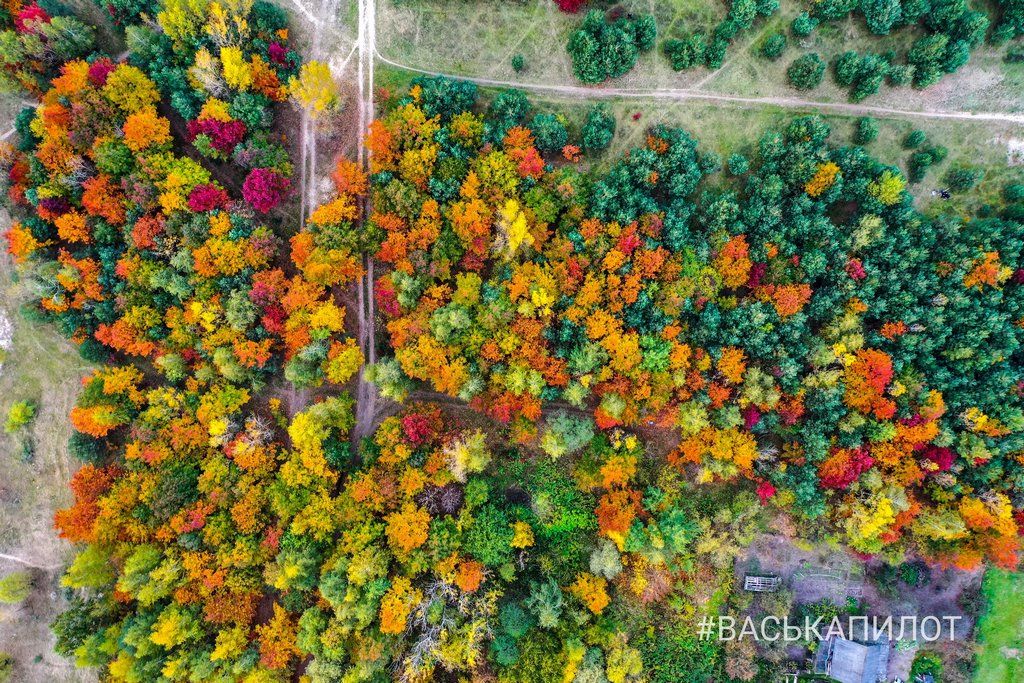 Краски осеннего Бреста