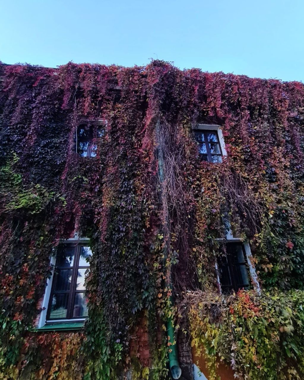 Такую красоту можно увидеть в Брестской крепости