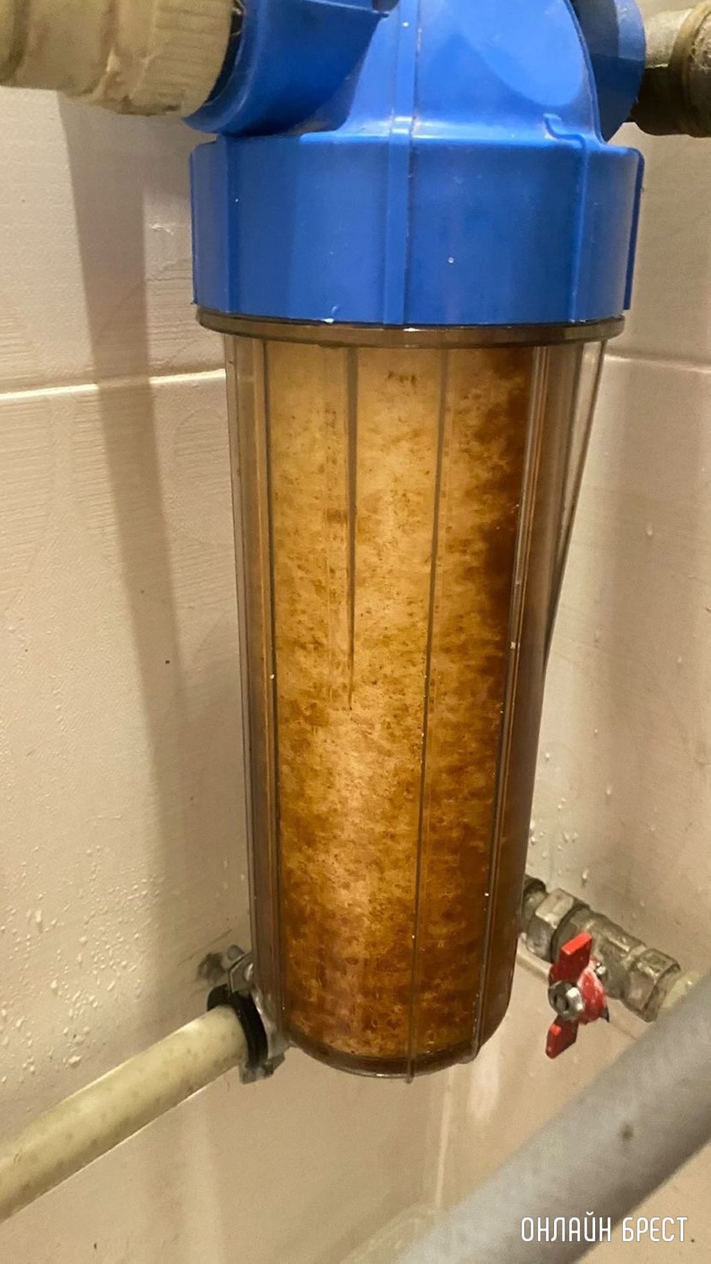 Читатель: Гершоны, 30 секунд после замены фильтра