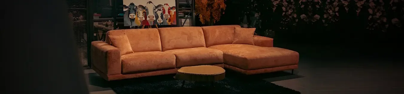 Савлуков-Мебель - обложка