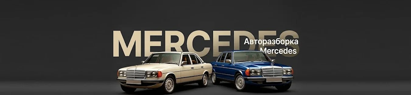 Авторазборка Мерседес - обложка