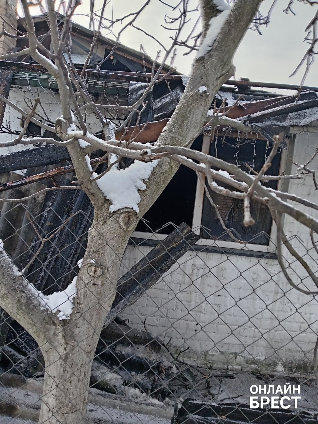 На пожаре в Бресте благодаря АПИ спасена семья