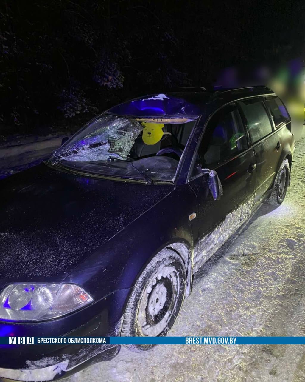 Автомобиль Volkswagen сбил дикое животное в Ивацевичском районе