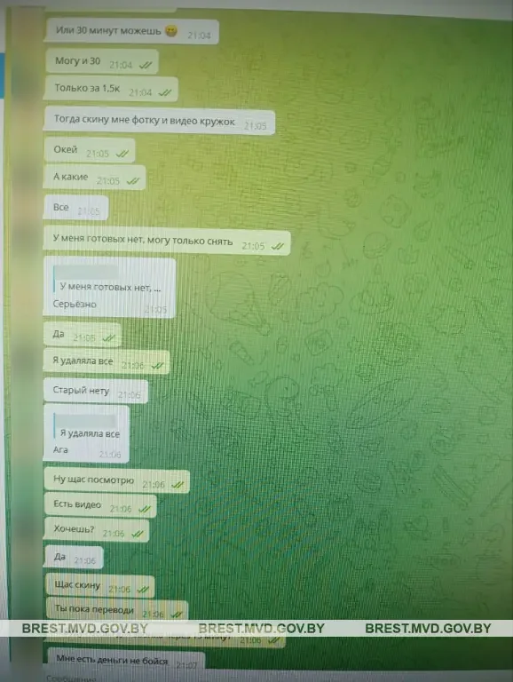 Пара из Брестской области пыталась заработать на продаже интимного контента