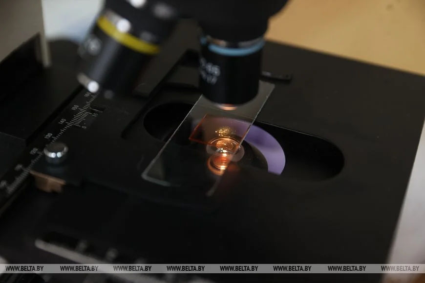 Брестчанин спустя годы случайно узнал о дочери