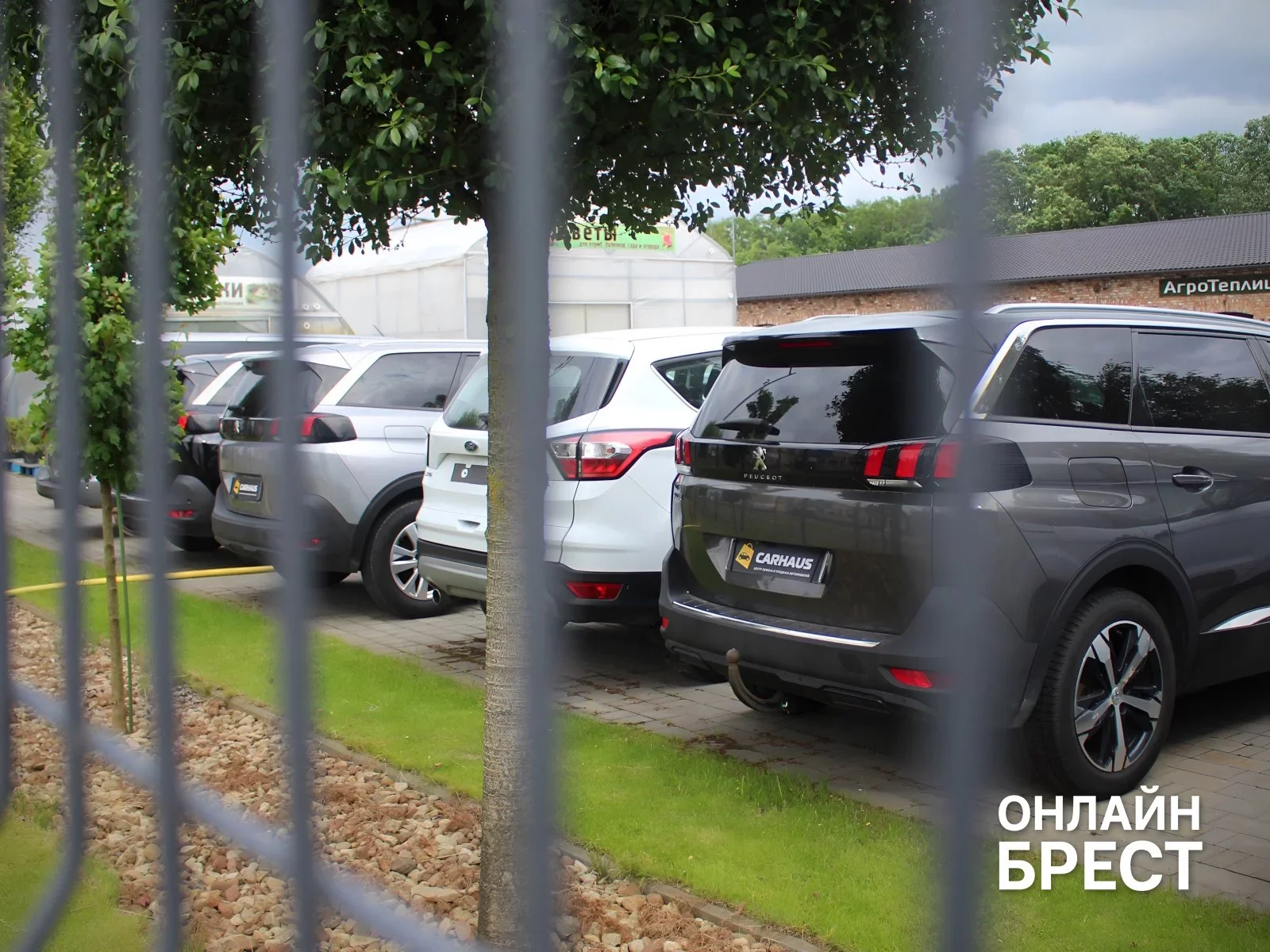 Как в Бресте продать старый автомобиль и купить новый за один день