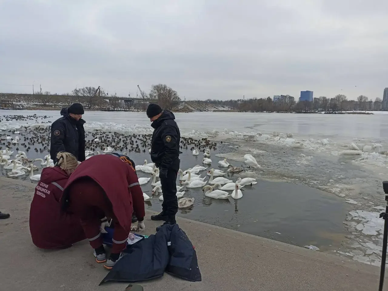 В Бресте погибла женщина: она упала в Мухавец. Как это произошло