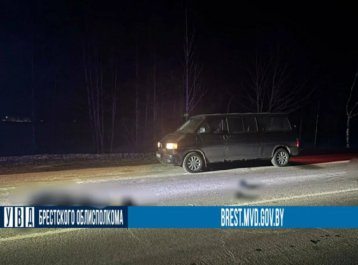 В Лунинецком районе пешеход погиб под колесами авто