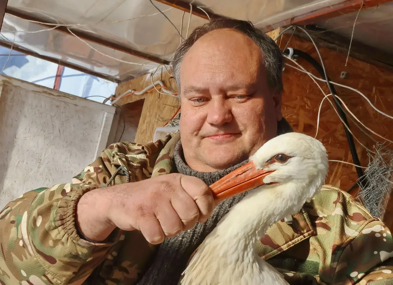 История «Дома Брестского аиста»