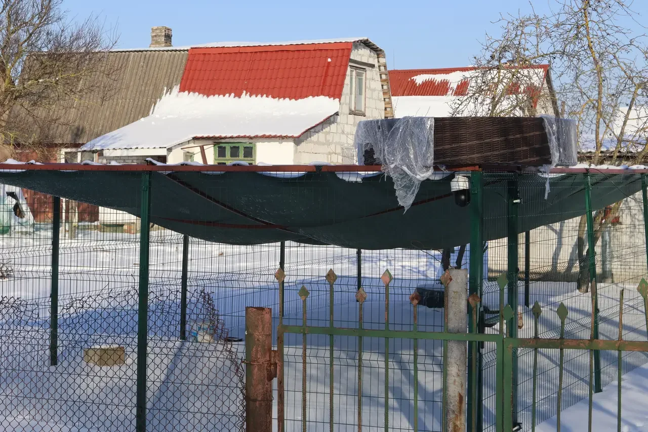 История «Дома Брестского аиста»