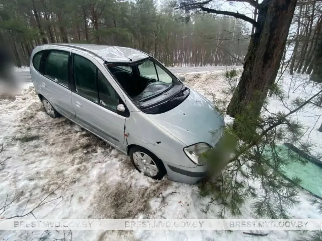 В Дрогичинском районе автомобиль врезался в дерево