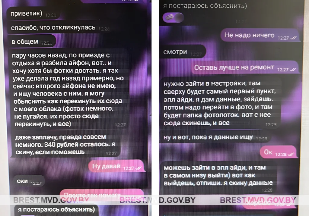 Пинчанка доверилась «подруге» из чата о сериалах и лишилась доступа к телефону