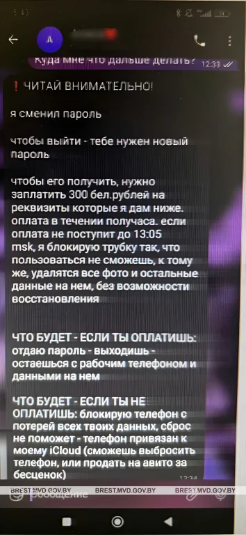 Пинчанка доверилась «подруге» из чата о сериалах и лишилась доступа к телефону