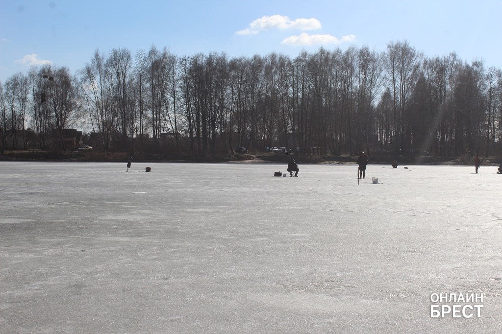 Несмотря на потепление, брестские рыбаки всё ещё выходят на лёд
