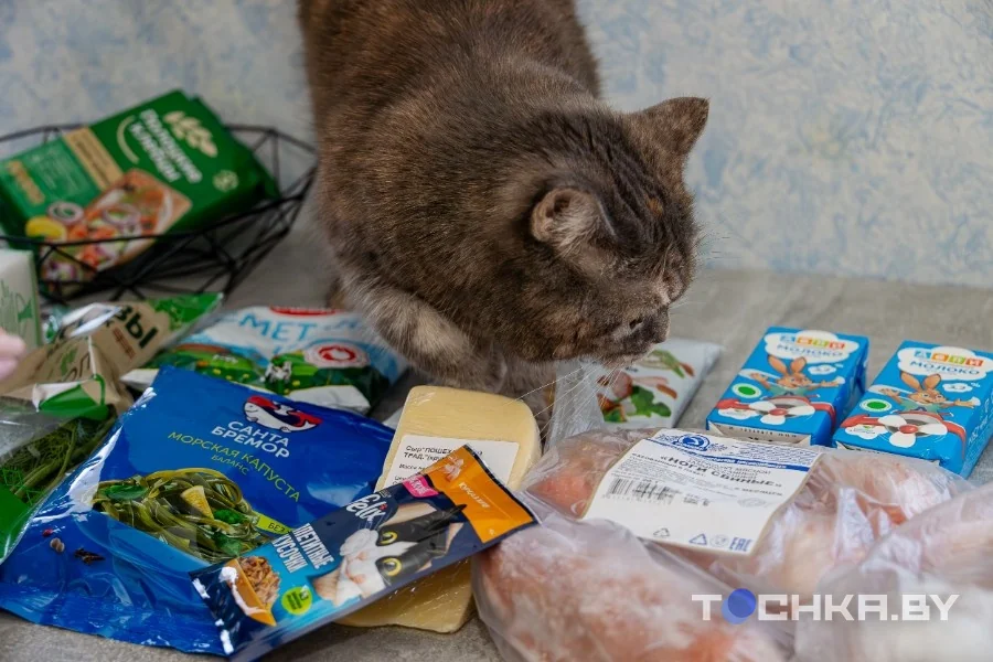 История пары из Беларуси, которая тратит на еду 300 рублей в месяц