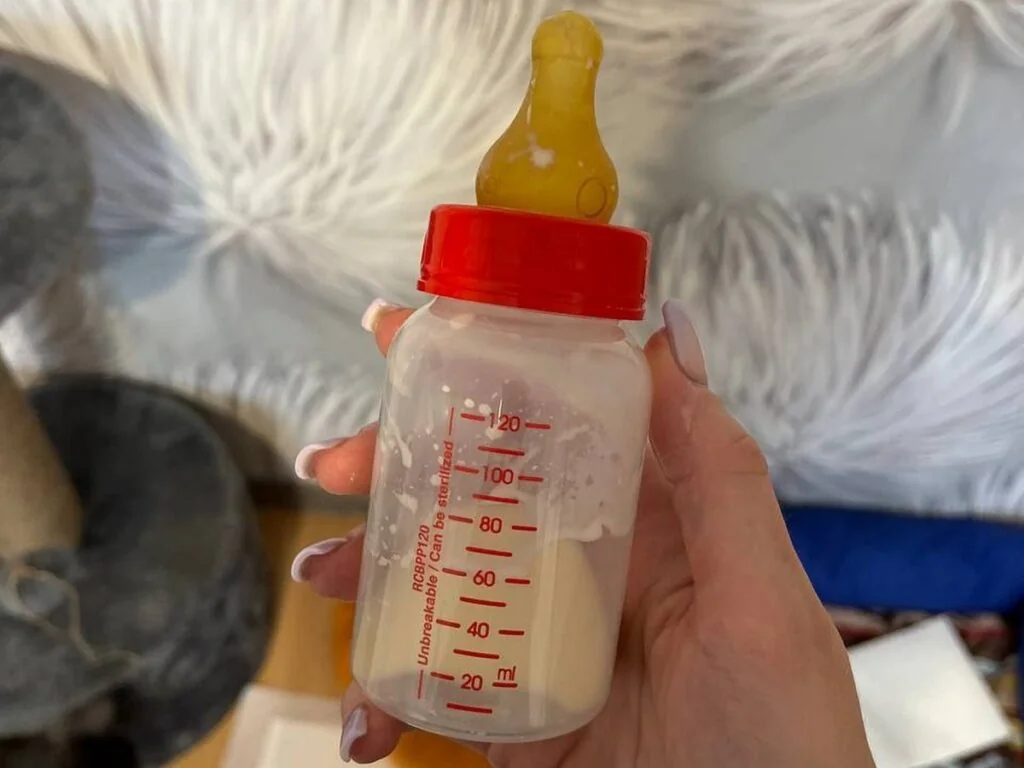 Щенка просто выбросили вместе с мусором. История, от которой сжимается сердце