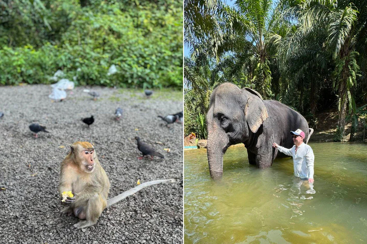 Сколько потратил белорус на Пхукете за 11 дней — вот цифры