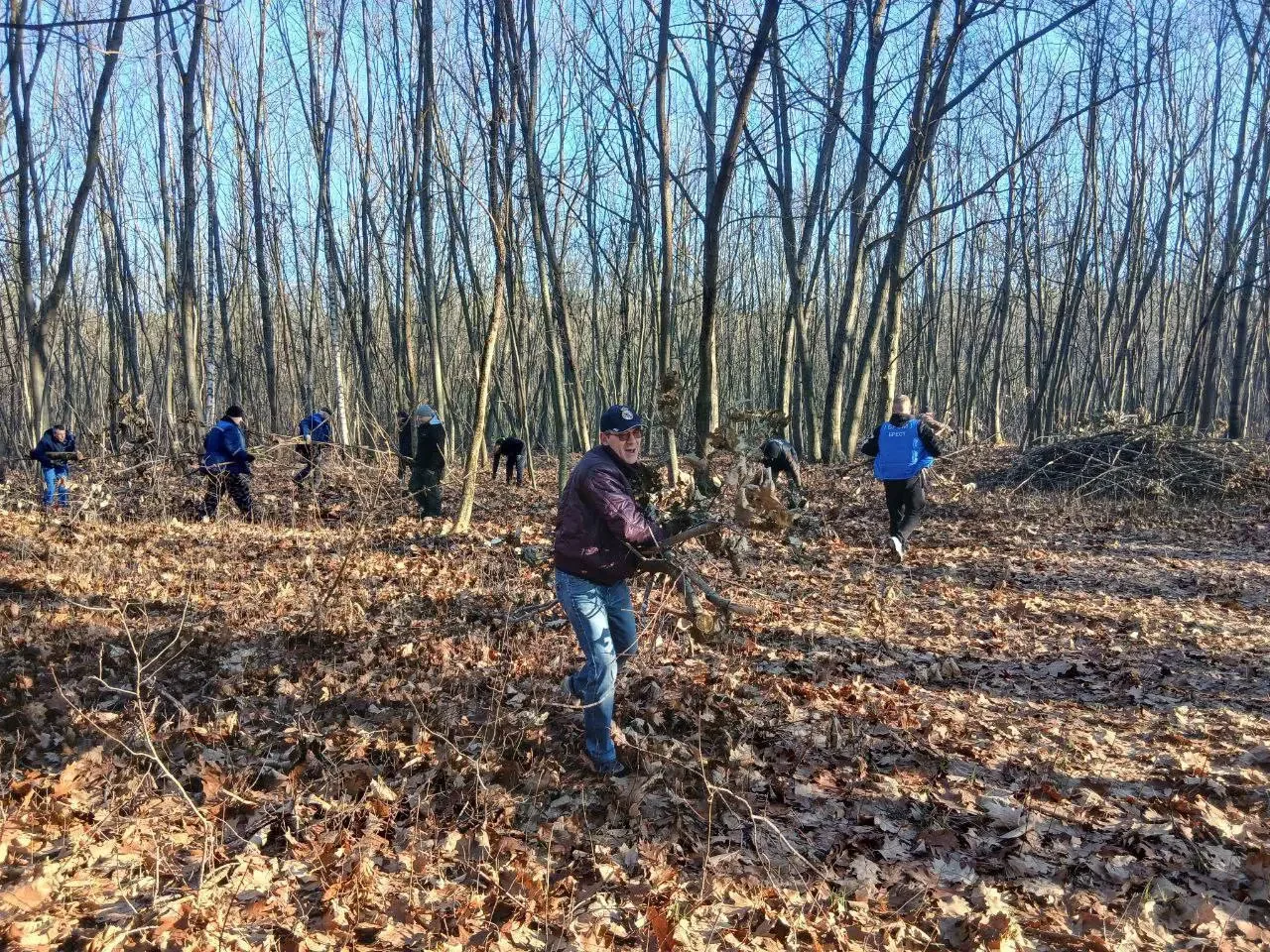 На месте нового пляжа навели порядок. Как в Бресте проходит субботник