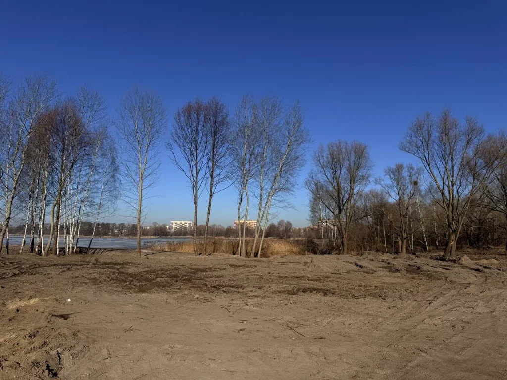 На месте нового пляжа навели порядок. Как в Бресте проходит субботник