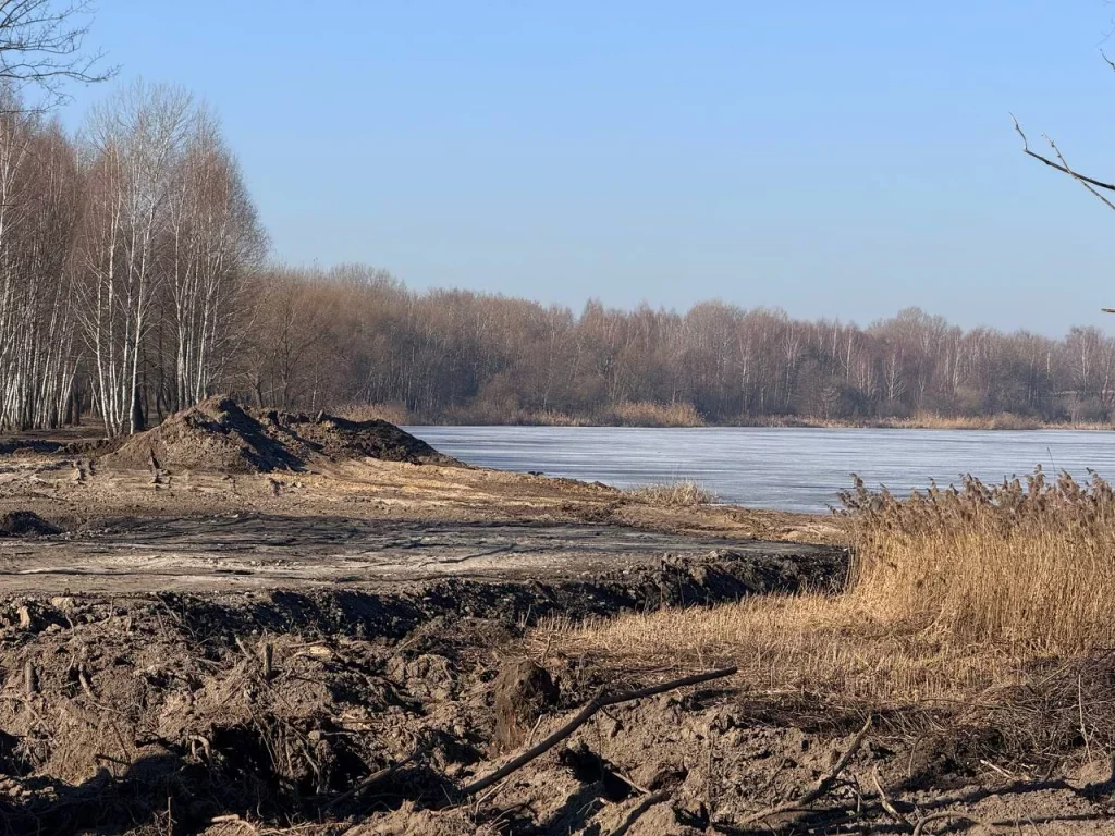 На месте нового пляжа навели порядок. Как в Бресте проходит субботник