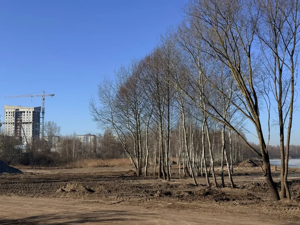 На месте нового пляжа навели порядок. Как в Бресте проходит субботник