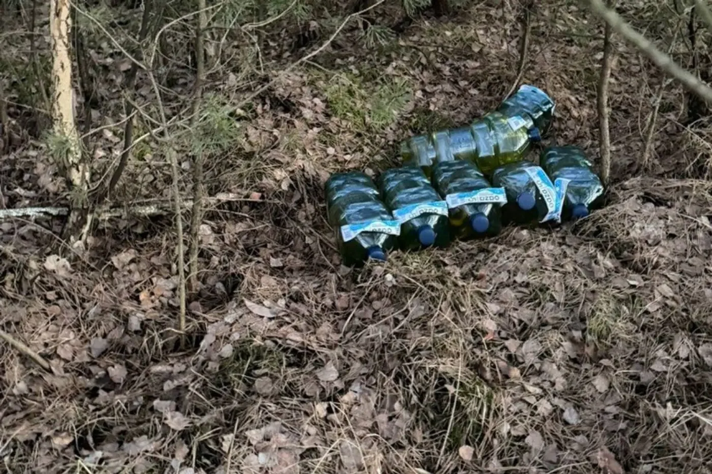 Белорусский дальнобойщик спрятал 12 канистр с дизелем в польском лесу и поплатился