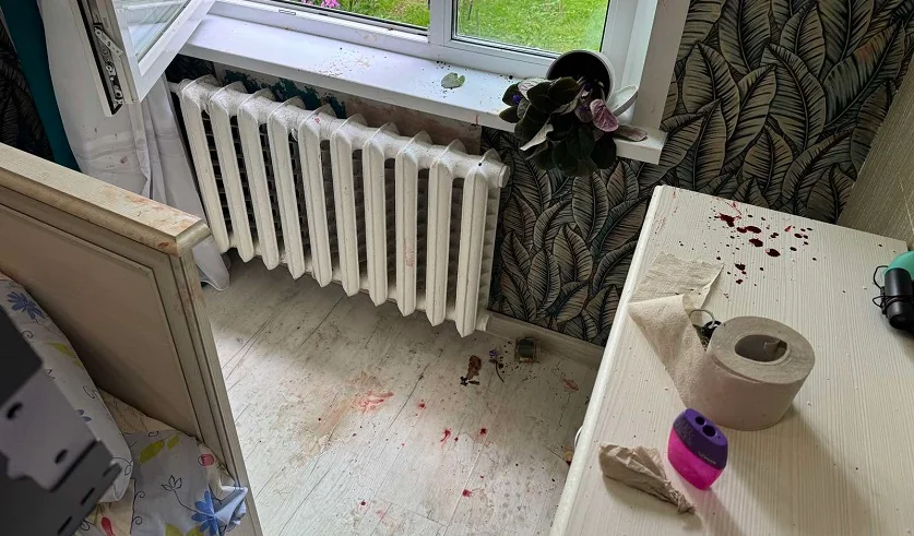 Шокирующие подробности нападения на мать и дочь в Витебске