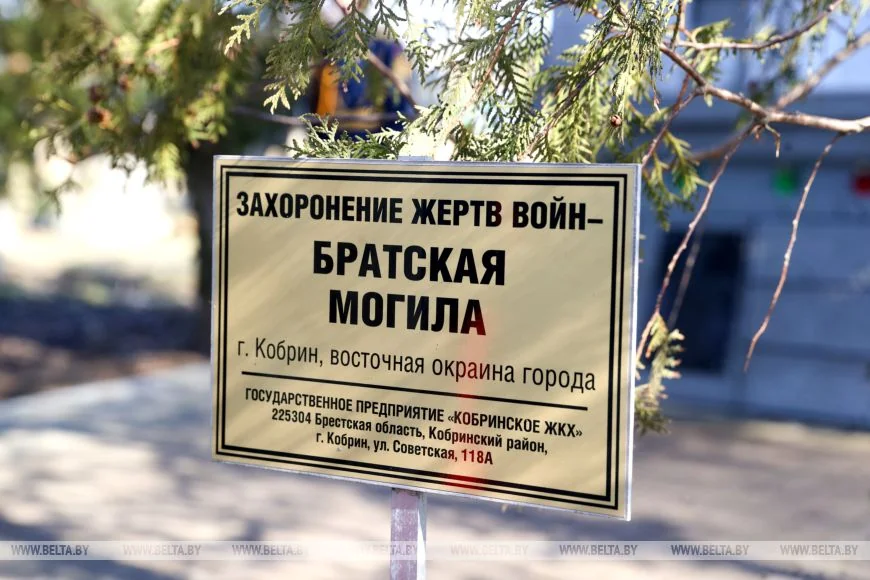 Останки 12 жертв геноцида белорусского народа перезахоронили в Кобрине