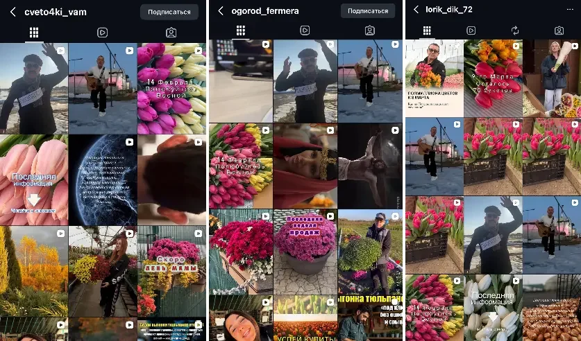 Двое жителей Пинска обманули 29 человек на 230 тысяч рублей