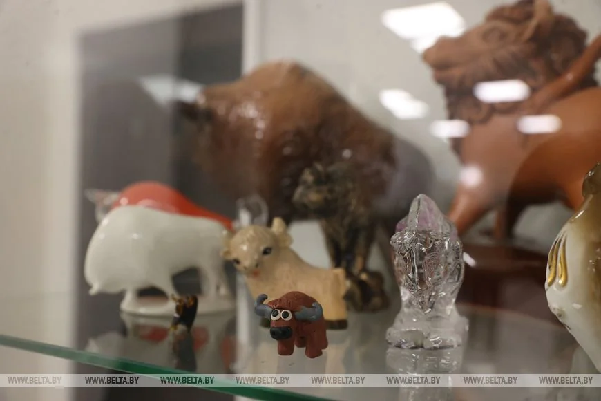 В Бресте создали единственный в Беларуси музей зубра. Как туда попасть?