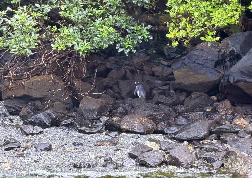 Белорус побывал в Новой Зеландии и рассказал о перелёте и тратах