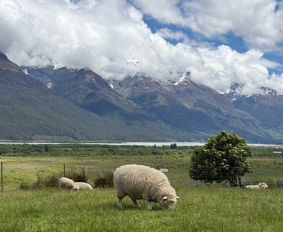 Белорус побывал в Новой Зеландии и рассказал о перелёте и тратах