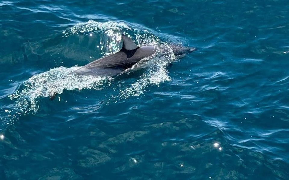 Белорус побывал в Новой Зеландии и рассказал о перелёте и тратах