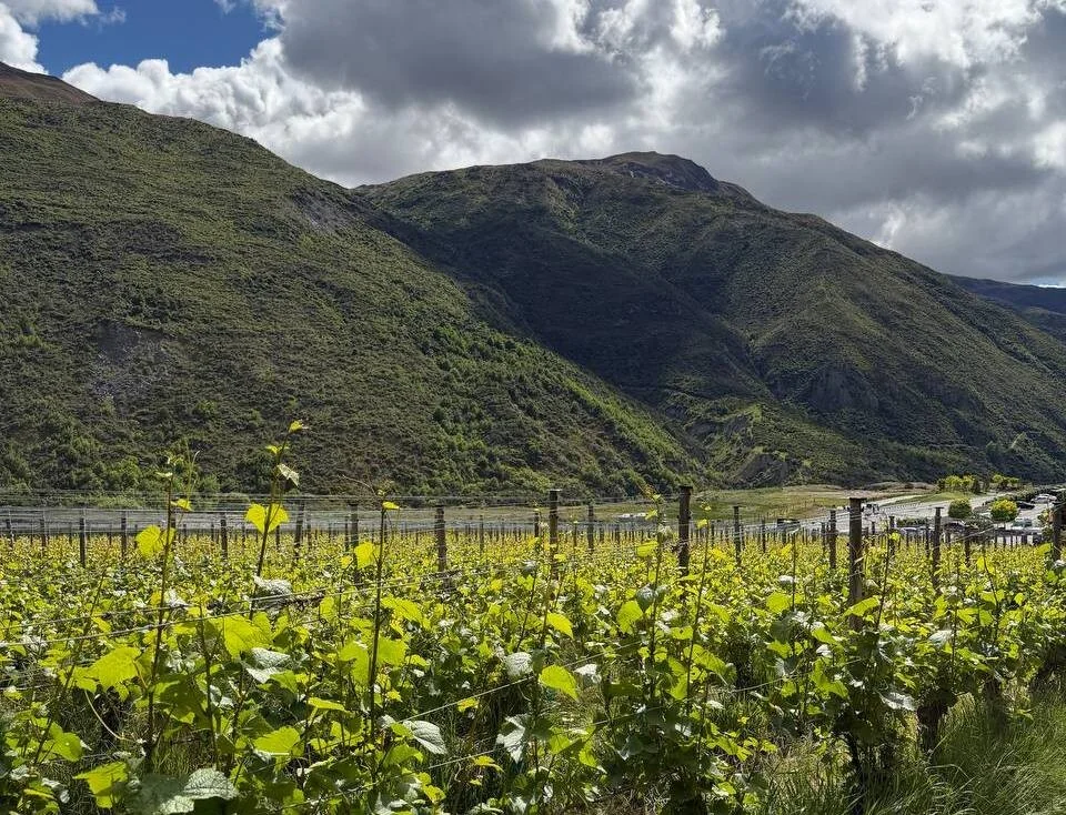 Белорус побывал в Новой Зеландии и рассказал о перелёте и тратах