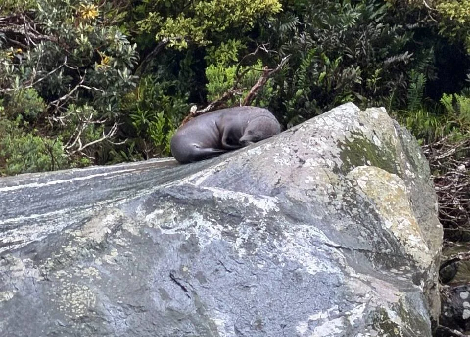 Белорус побывал в Новой Зеландии и рассказал о перелёте и тратах