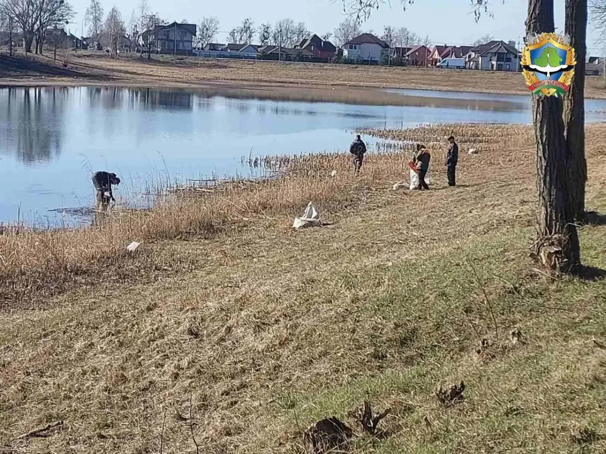 В Лунинце обследуют пруды после гибели рыбы