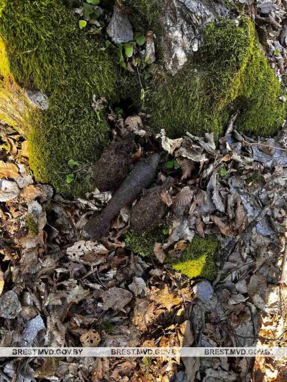 В Пружанском районе обнаружили и уничтожили снаряд времен Великой Отечественной войны