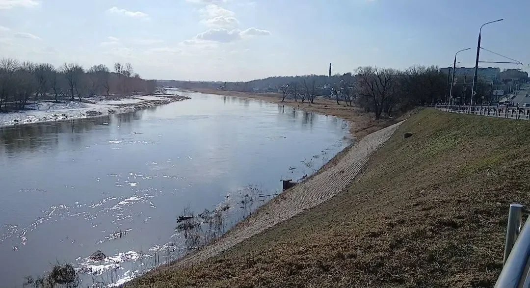 «Думал, что уже неживая»: в Беларуси парень спас девушку, упавшую с моста в реку