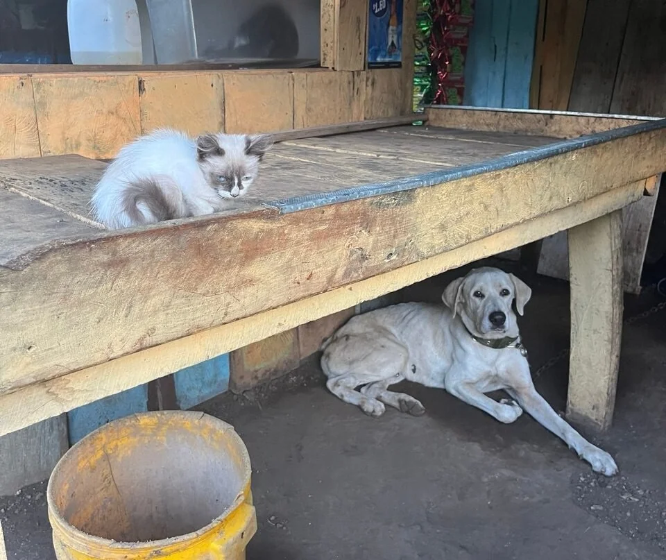 Белорус побывал в одной из самых бедных и опасных стран Центральной Америки — вот что он рассказал