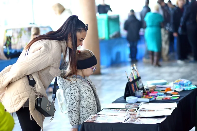 В Бресте устроили большую выставку кошек с редкими породами