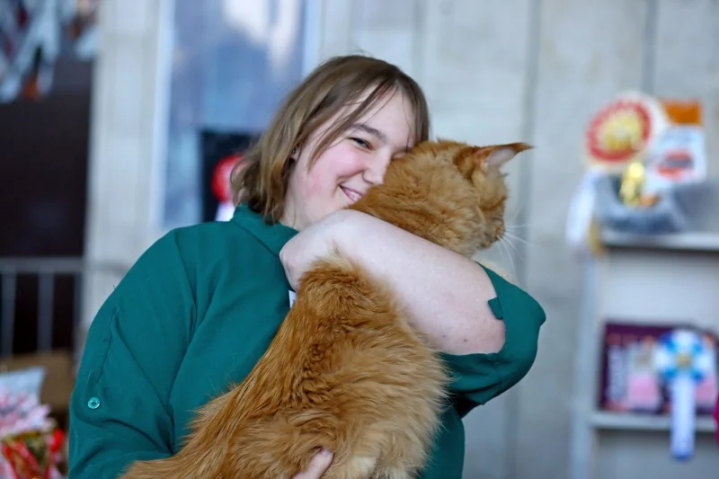 В Бресте устроили большую выставку кошек с редкими породами