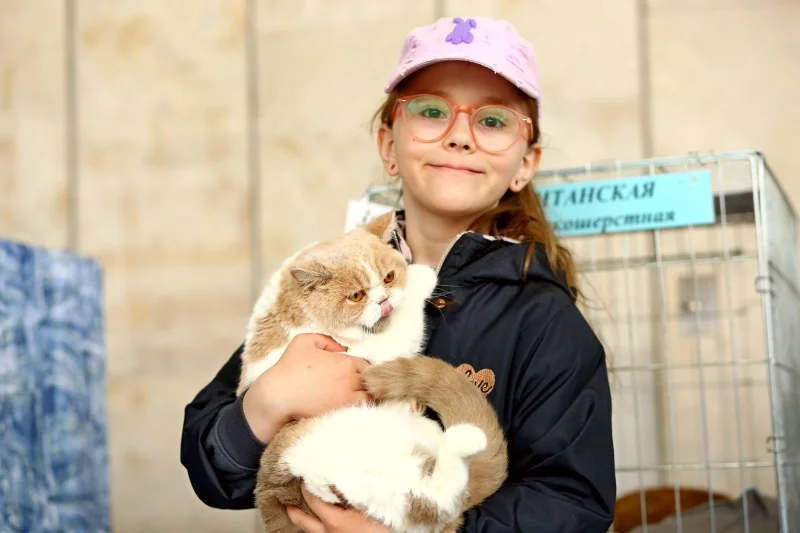 В Бресте устроили большую выставку кошек с редкими породами