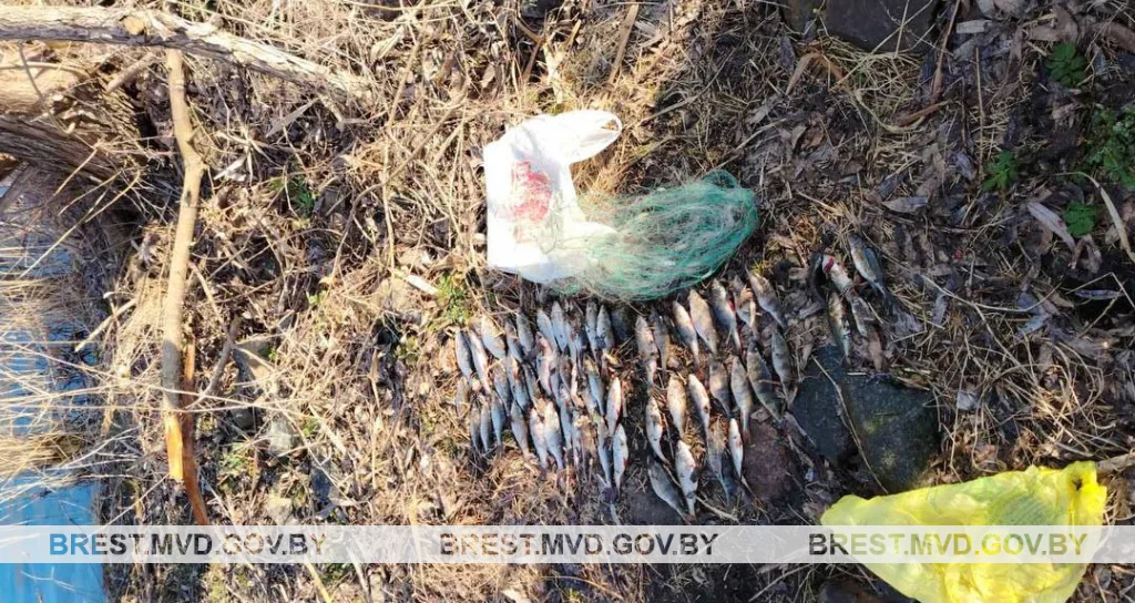 Ловил рыбу — получил уголовное дело: жителю Березовского района грозит до 4 лет