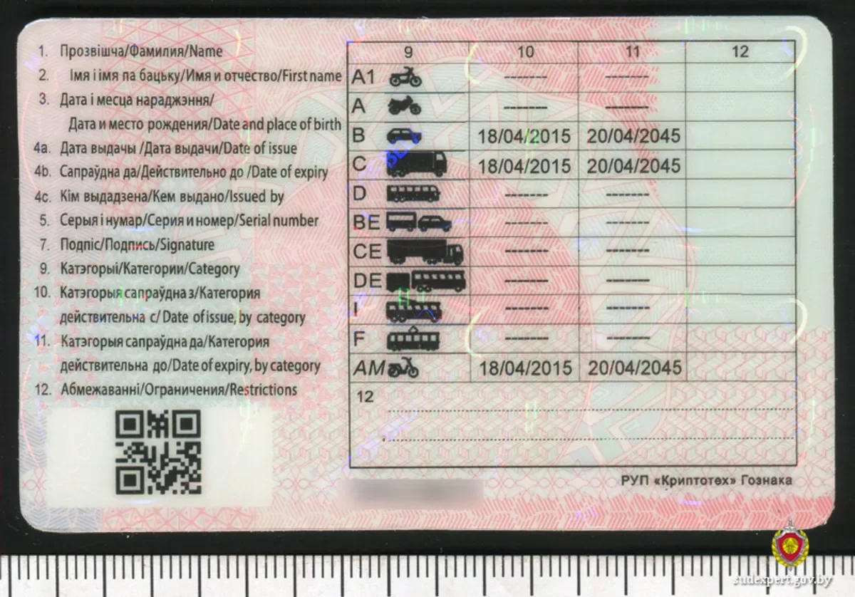 Белорус заказал «права» по почте — чем это закончилось