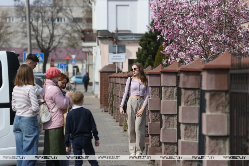 В Бресте распустилась магнолия