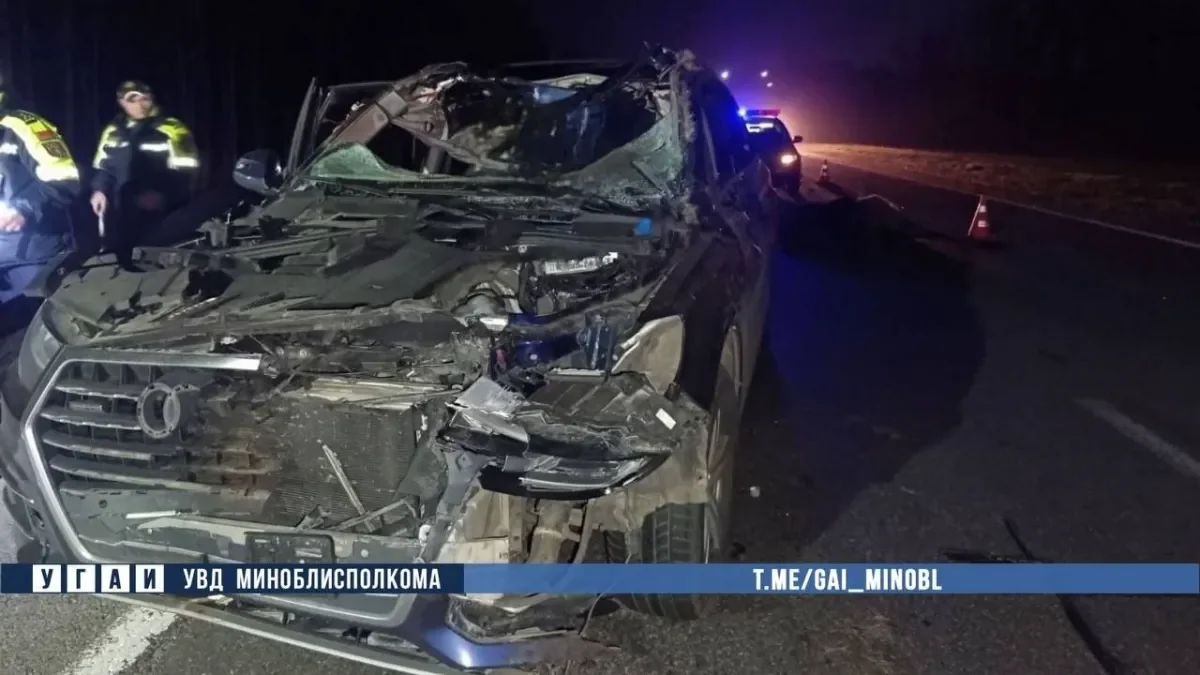 На трассе М1 при столкновении с лосем погиб пассажир Audi Q7