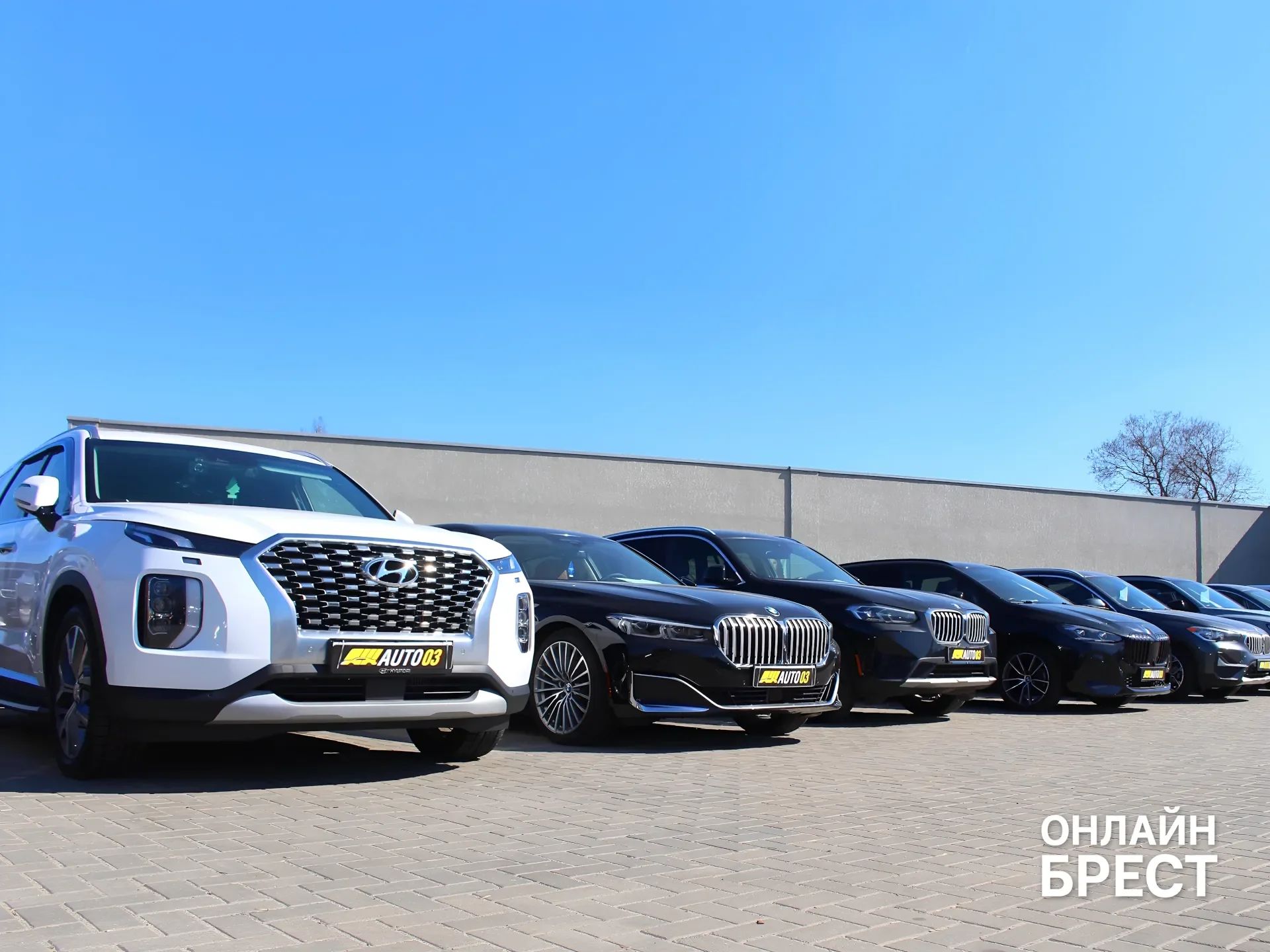 От фейерверков до площадки по продаже и выкупу автомобилей в Бресте. История Владимира